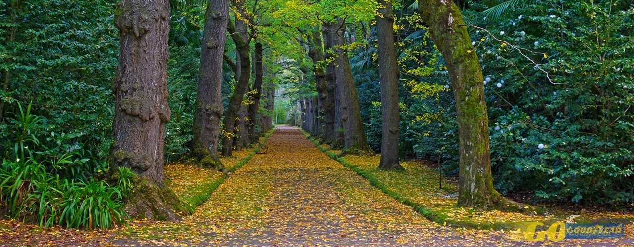 Cinco passeios de Outono para apreciar a natureza