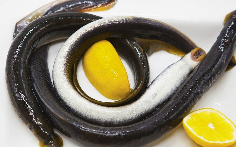 Mês da lampreia nas Pousadas de Portugal